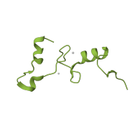 The deposited structure of PDB entry 4dv6 contains 1 copy of CATH domain 4.10.830.10 (30s Ribosomal Protein S14; Chain N) in Small ribosomal subunit protein uS14. Showing 1 copy in chain N.