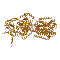 The deposited structure of PDB entry 4dx6 contains 3 copies of Pfam domain PF00873 (AcrB/AcrD/AcrF family) in Multidrug efflux pump subunit AcrB. Showing 1 copy in chain A.