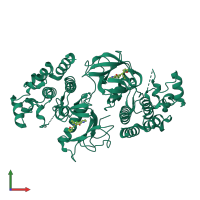 Homo dimeric assembly 1 of PDB entry 4e26 coloured by chemically distinct molecules, front view.