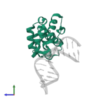 Methyl-CpG-binding domain protein 4 in PDB entry 4ea4, assembly 1, side view.