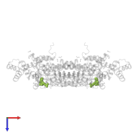 ADENOSINE MONOPHOSPHATE in PDB entry 4eei, assembly 3, top view.