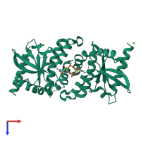 Homo dimeric assembly 1 of PDB entry 4ef4 coloured by chemically distinct molecules, top view.