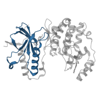 The deposited structure of PDB entry 4eh7 contains 1 copy of CATH domain 3.30.200.20 (Phosphorylase Kinase; domain 1) in Mitogen-activated protein kinase 14. Showing 1 copy in chain A.