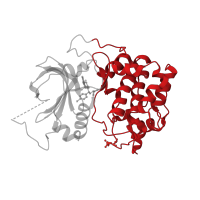 The deposited structure of PDB entry 4ekl contains 1 copy of CATH domain 1.10.510.10 (Transferase(Phosphotransferase); domain 1) in RAC-alpha serine/threonine-protein kinase. Showing 1 copy in chain A.
