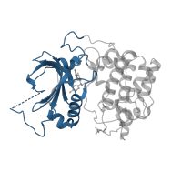 The deposited structure of PDB entry 4ekl contains 1 copy of CATH domain 3.30.200.20 (Phosphorylase Kinase; domain 1) in RAC-alpha serine/threonine-protein kinase. Showing 1 copy in chain A.