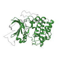 The deposited structure of PDB entry 4ekl contains 1 copy of Pfam domain PF00069 (Protein kinase domain) in RAC-alpha serine/threonine-protein kinase. Showing 1 copy in chain A.