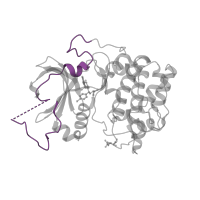 The deposited structure of PDB entry 4ekl contains 1 copy of Pfam domain PF00433 (Protein kinase C terminal domain) in RAC-alpha serine/threonine-protein kinase. Showing 1 copy in chain A.