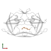 Pol protein in PDB entry 4ep2, assembly 1, front view.