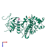 Monomeric assembly 1 of PDB entry 4erk coloured by chemically distinct molecules, top view.