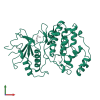 Mitogen-activated protein kinase 1 in PDB entry 4erk, assembly 1, front view.