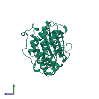 Mitogen-activated protein kinase 1 in PDB entry 4erk, assembly 1, side view.