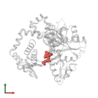 Modified residue 8OG in PDB entry 4f5o, assembly 1, front view.