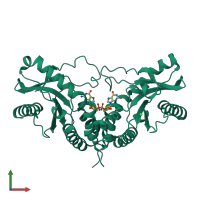 Homo dimeric assembly 1 of PDB entry 4f5y coloured by chemically distinct molecules, front view.