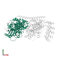 Tubulin alpha chain in PDB entry 4f6r, assembly 1, front view.