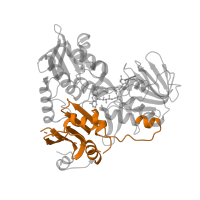 The deposited structure of PDB entry 4fdc contains 1 copy of Pfam domain PF14721 (Apoptosis-inducing factor, mitochondrion-associated, C-term) in Apoptosis-inducing factor 1, mitochondrial. Showing 1 copy in chain A [auth B].