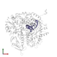 DNA primer in PDB entry 4fjh, assembly 1, front view.