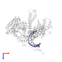 DNA primer in PDB entry 4fjh, assembly 1, top view.
