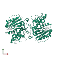 Fucosylglycoprotein alpha-N-acetylgalactosaminyltransferase soluble form in PDB entry 4frl, assembly 1, front view.