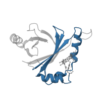 The deposited structure of PDB entry 4fvc contains 6 copies of Pfam domain PF03992 (Antibiotic biosynthesis monooxygenase) in ABM domain-containing protein. Showing 1 copy in chain F.