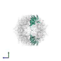 Proteasome subunit alpha type-2 in PDB entry 4fzg, assembly 1, side view.