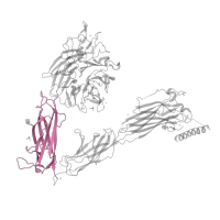 The deposited structure of PDB entry 4g1e contains 1 copy of Pfam domain PF08441 (Integrin alpha Ig-like domain 1) in Integrin alpha-V. Showing 1 copy in chain A.