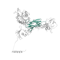 The deposited structure of PDB entry 4g1e contains 1 copy of CATH domain 2.60.40.1510 (Immunoglobulin-like) in Integrin beta-3. Showing 1 copy in chain B.