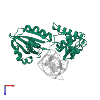 Formamidopyrimidine-DNA glycosylase in PDB entry 4g4o, assembly 1, top view.