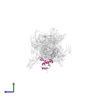 DNA-directed RNA polymerase subunit omega in PDB entry 4g7o, assembly 1, side view.