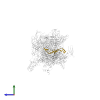 5'-D(*CP*CP*T*GP*CP*AP*TP*CP*CP*GP*TP*GP*AP*GP*TP*CP*GP*AP*GP*GP*G)-3' in PDB entry 4g7o, assembly 1, side view.