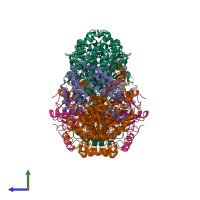 Hetero octameric assembly 2 of PDB entry 4gam coloured by chemically distinct molecules, side view.