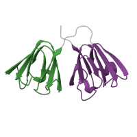 The deposited structure of PDB entry 4gcr contains 2 copies of Pfam domain PF00030 (Beta/Gamma crystallin) in Gamma-crystallin B. Showing 2 copies in chain A.