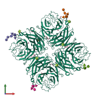 Homo tetrameric assembly 1 of PDB entry 4gdi coloured by chemically distinct molecules, front view.