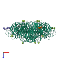 Homo tetrameric assembly 1 of PDB entry 4gdi coloured by chemically distinct molecules, top view.