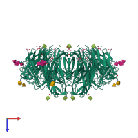 Homo tetrameric assembly 2 of PDB entry 4gdi coloured by chemically distinct molecules, top view.