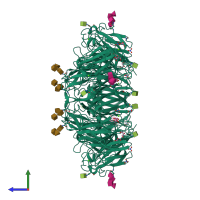 Homo tetrameric assembly 3 of PDB entry 4gdi coloured by chemically distinct molecules, side view.