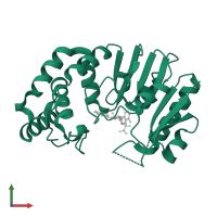 DNA adenine methylase in PDB entry 4goo, assembly 2, front view.