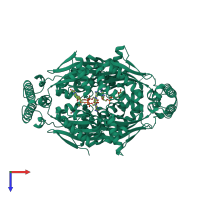 Homo tetrameric assembly 1 of PDB entry 4gtl coloured by chemically distinct molecules, top view.