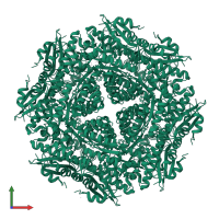 Mandelate racemase/muconate lactonizing enzyme C-terminal domain-containing protein in PDB entry 4h19, assembly 2, front view.