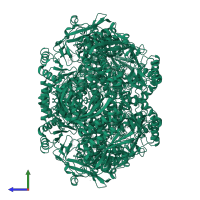 Mandelate racemase/muconate lactonizing enzyme C-terminal domain-containing protein in PDB entry 4h19, assembly 2, side view.