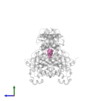 4'-PHOSPHOPANTETHEINE in PDB entry 4h2x, assembly 1, side view.