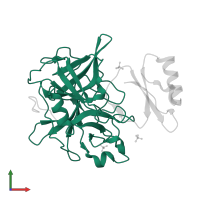 Chymotrypsin-C in PDB entry 4h4f, assembly 1, front view.