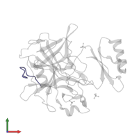 Chymotrypsin-C in PDB entry 4h4f, assembly 1, front view.