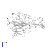 Chymotrypsin-C in PDB entry 4h4f, assembly 1, top view.