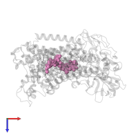 BACTERIOPHEOPHYTIN A in PDB entry 4hbh, assembly 1, top view.