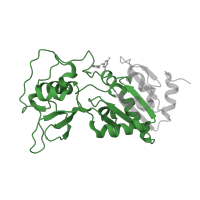 The deposited structure of PDB entry 4hda contains 2 copies of Pfam domain PF02146 (Sir2 family) in NAD-dependent protein deacylase sirtuin-5, mitochondrial. Showing 1 copy in chain B.