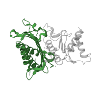 The deposited structure of PDB entry 4he1 contains 1 copy of Pfam domain PF00316 (Fructose-1-6-bisphosphatase, N-terminal domain) in Fructose-1,6-bisphosphatase isozyme 2. Showing 1 copy in chain A.