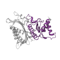 The deposited structure of PDB entry 4he1 contains 1 copy of Pfam domain PF18913 (Fructose-1-6-bisphosphatase, C-terminal domain) in Fructose-1,6-bisphosphatase isozyme 2. Showing 1 copy in chain A.