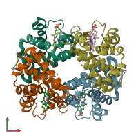 PDB entry 4hhb coloured by chain, front view.