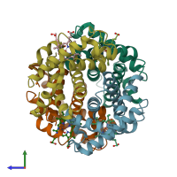 PDB entry 4hhb coloured by chain, side view.