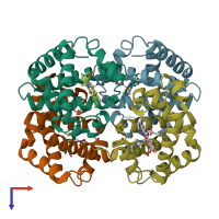 PDB entry 4hhb coloured by chain, top view.